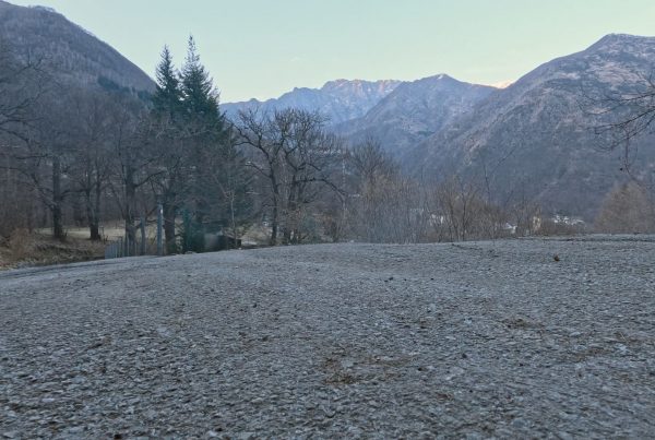 Vie Craella Student film CameraWise